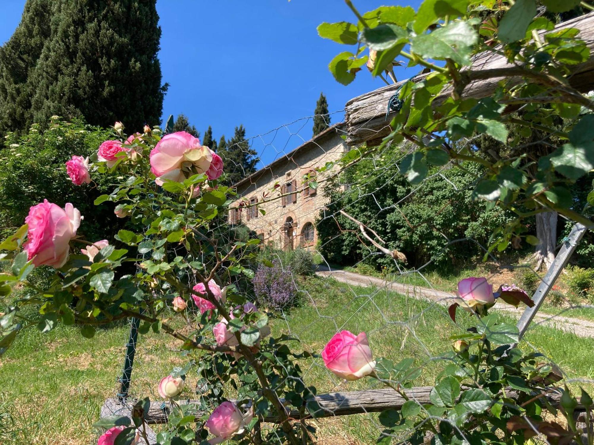 Agriturismo Il Caio Cetona Eksteriør billede