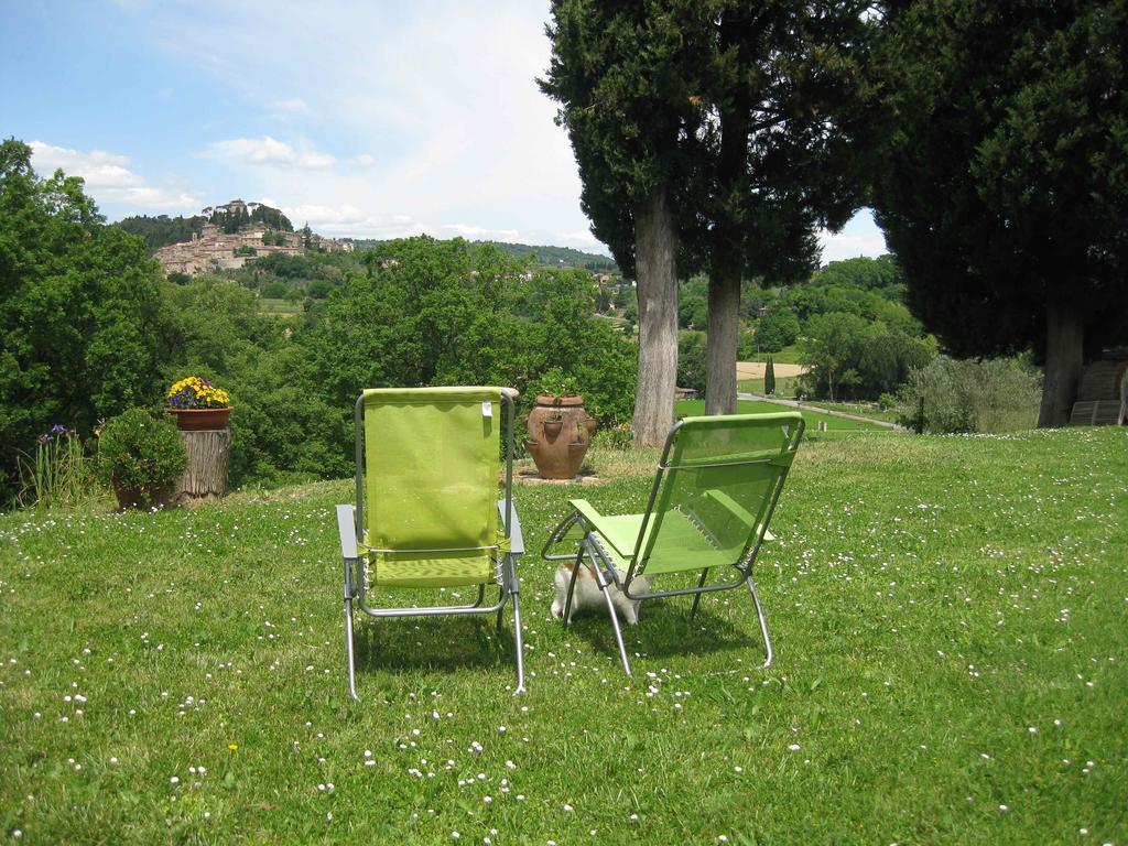 Agriturismo Il Caio Cetona Eksteriør billede